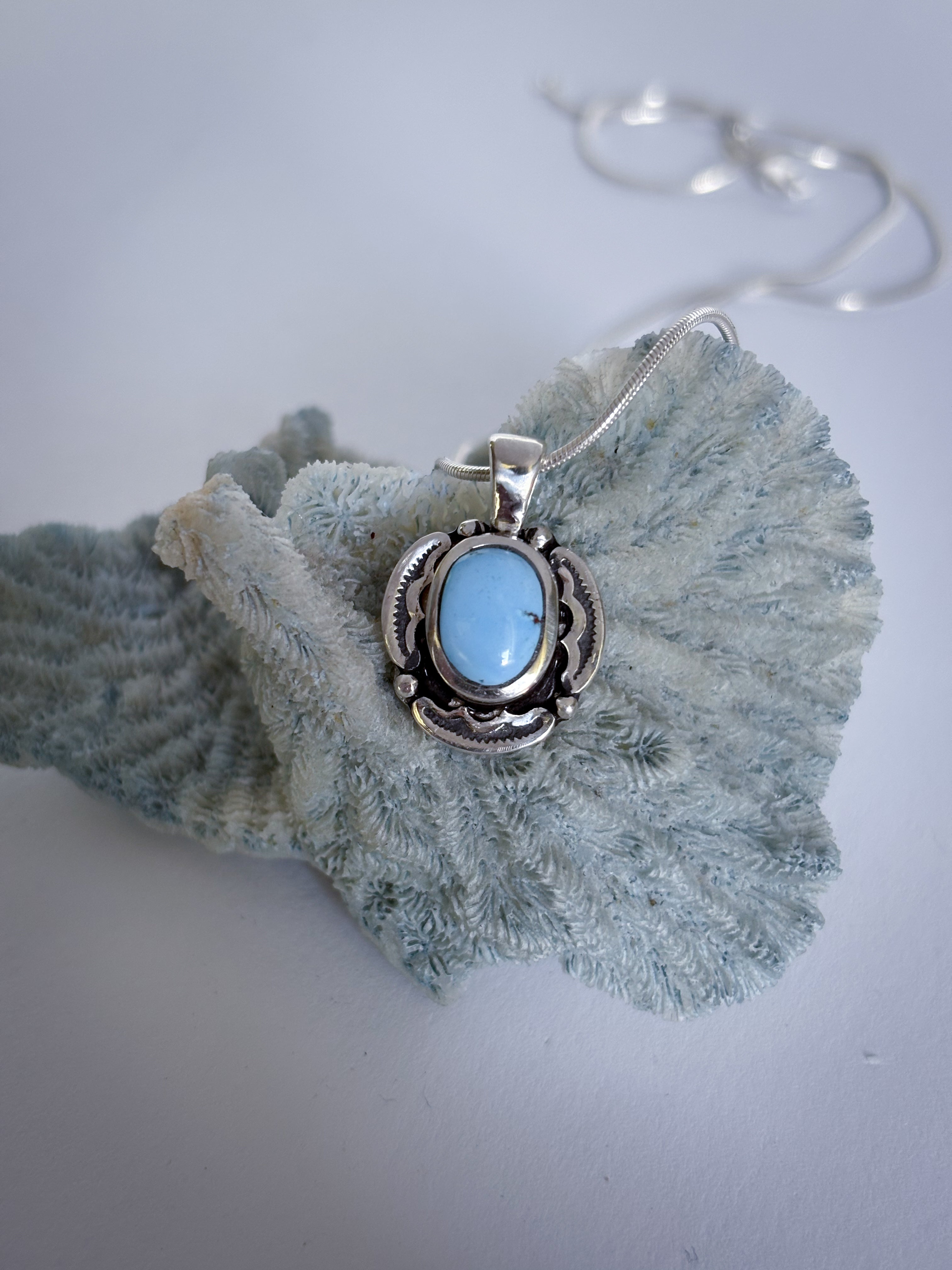 Encompass Necklace | Golden Hills Turquoise & Sterling Silver