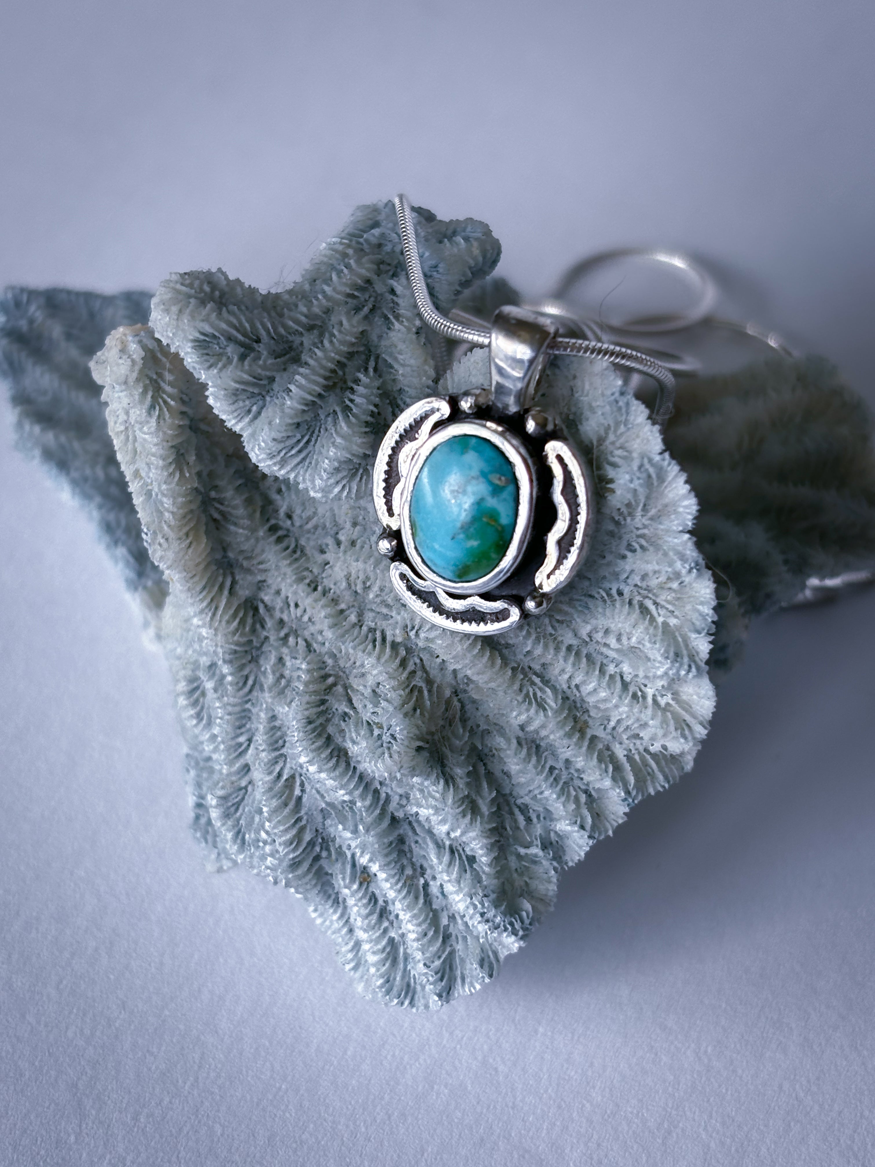 Encompass Necklace | Sonoran Mountain Turquoise & Sterling Silver