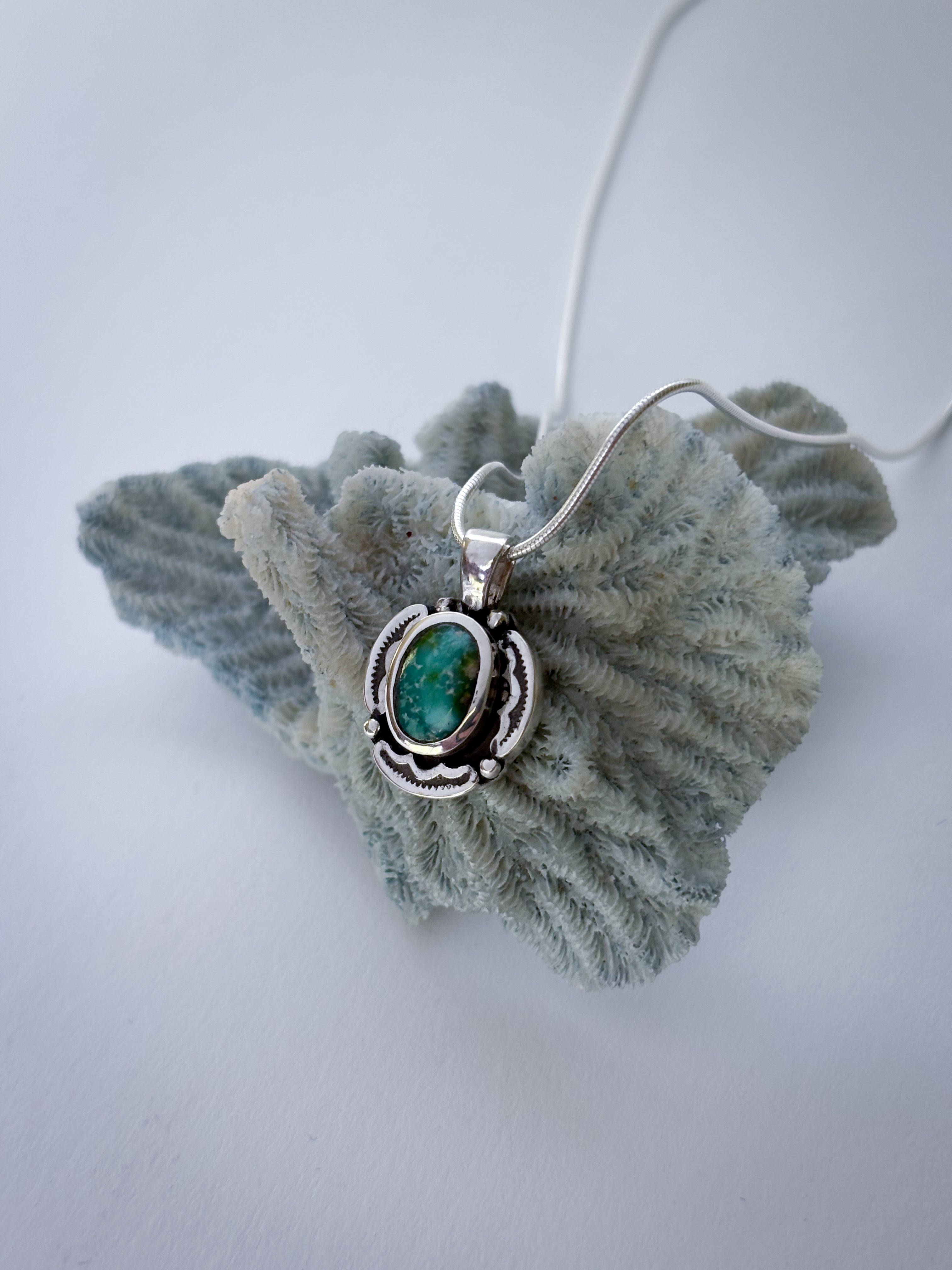 Encompass Necklace | Sonoran Gold Turquoise & Sterling Silver