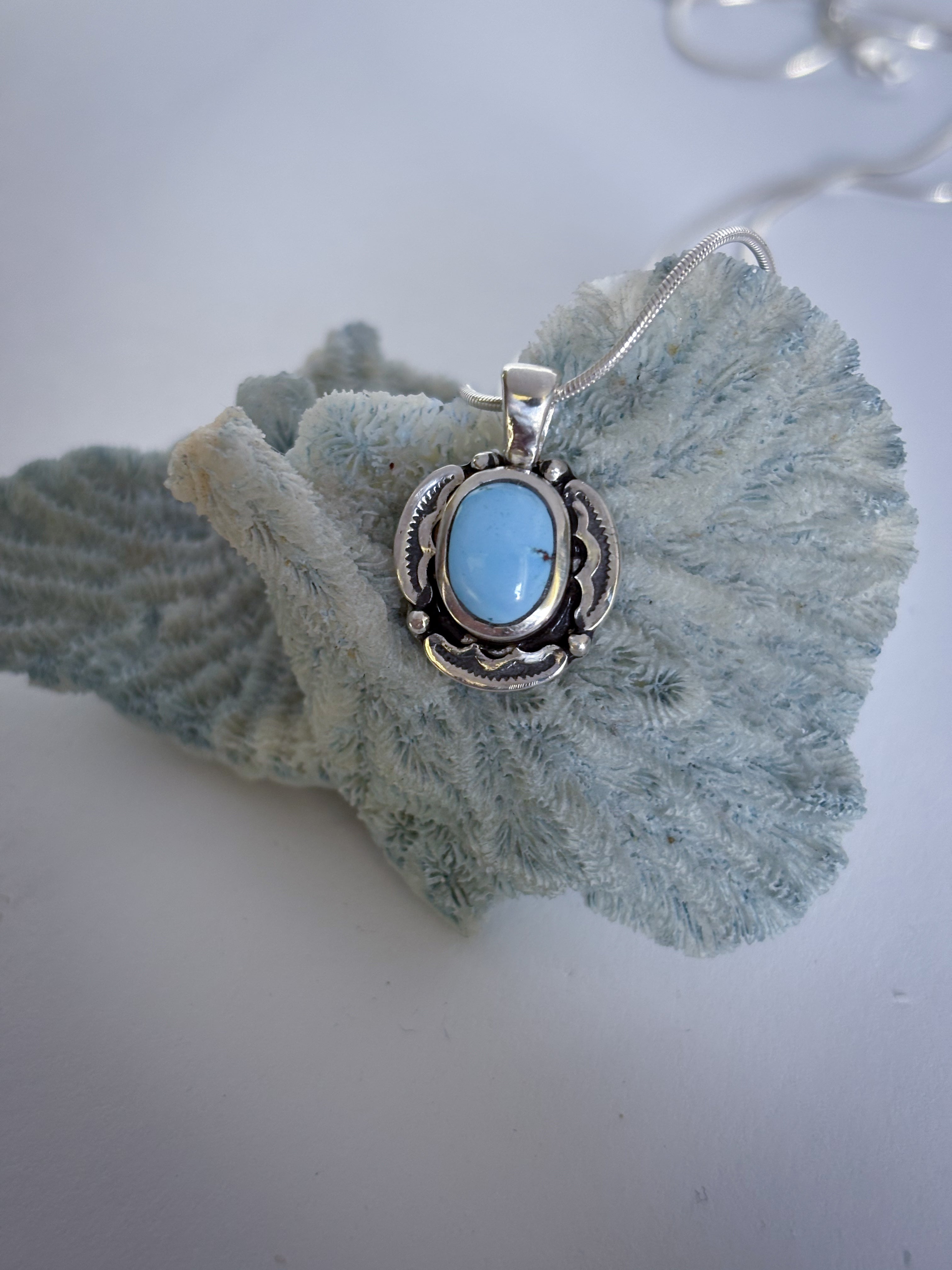 Encompass Necklace | Golden Hills Turquoise & Sterling Silver