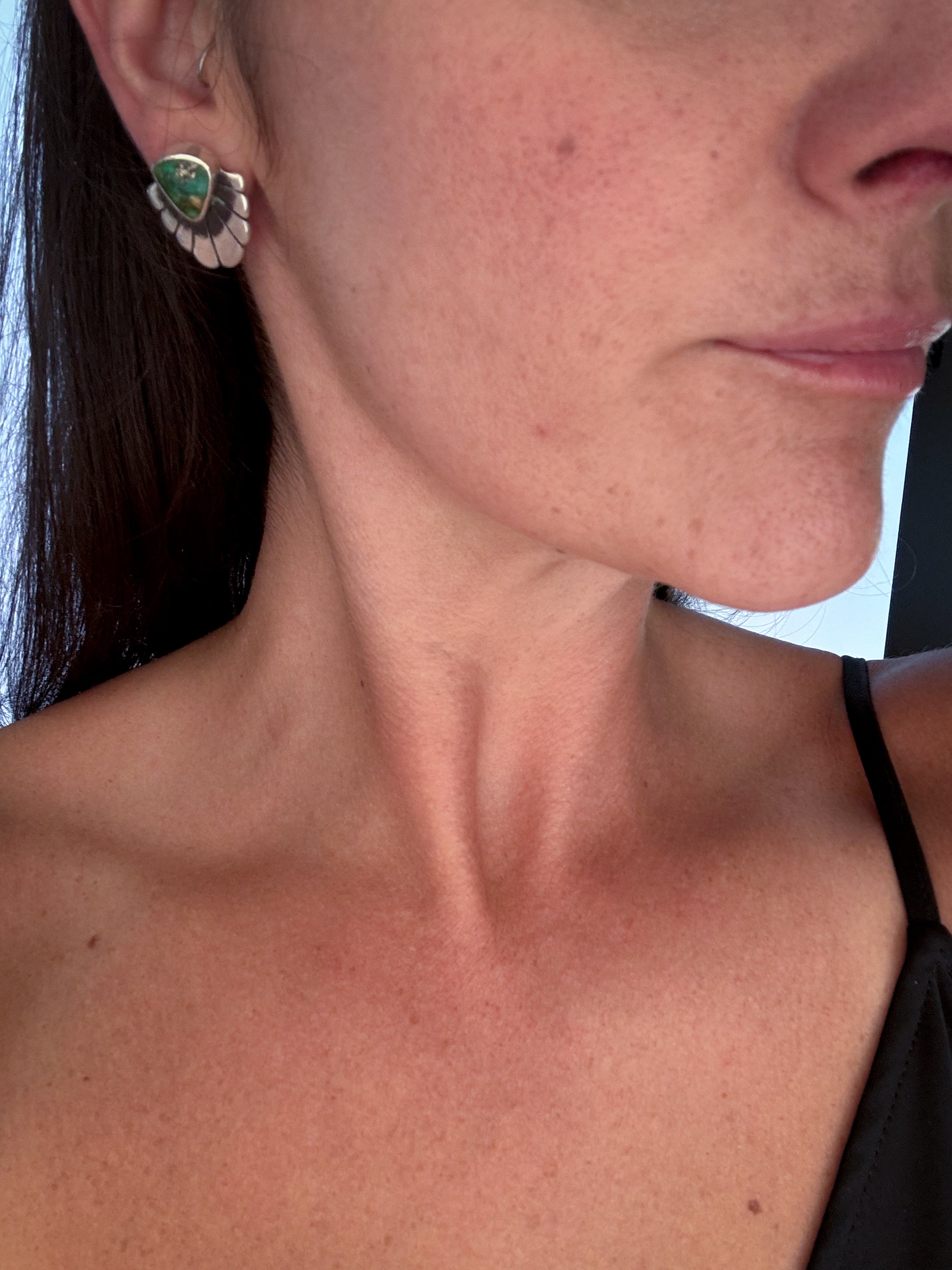 Fleur Post Earrings | Sonoran Gold Turquoise and Sterling Silver