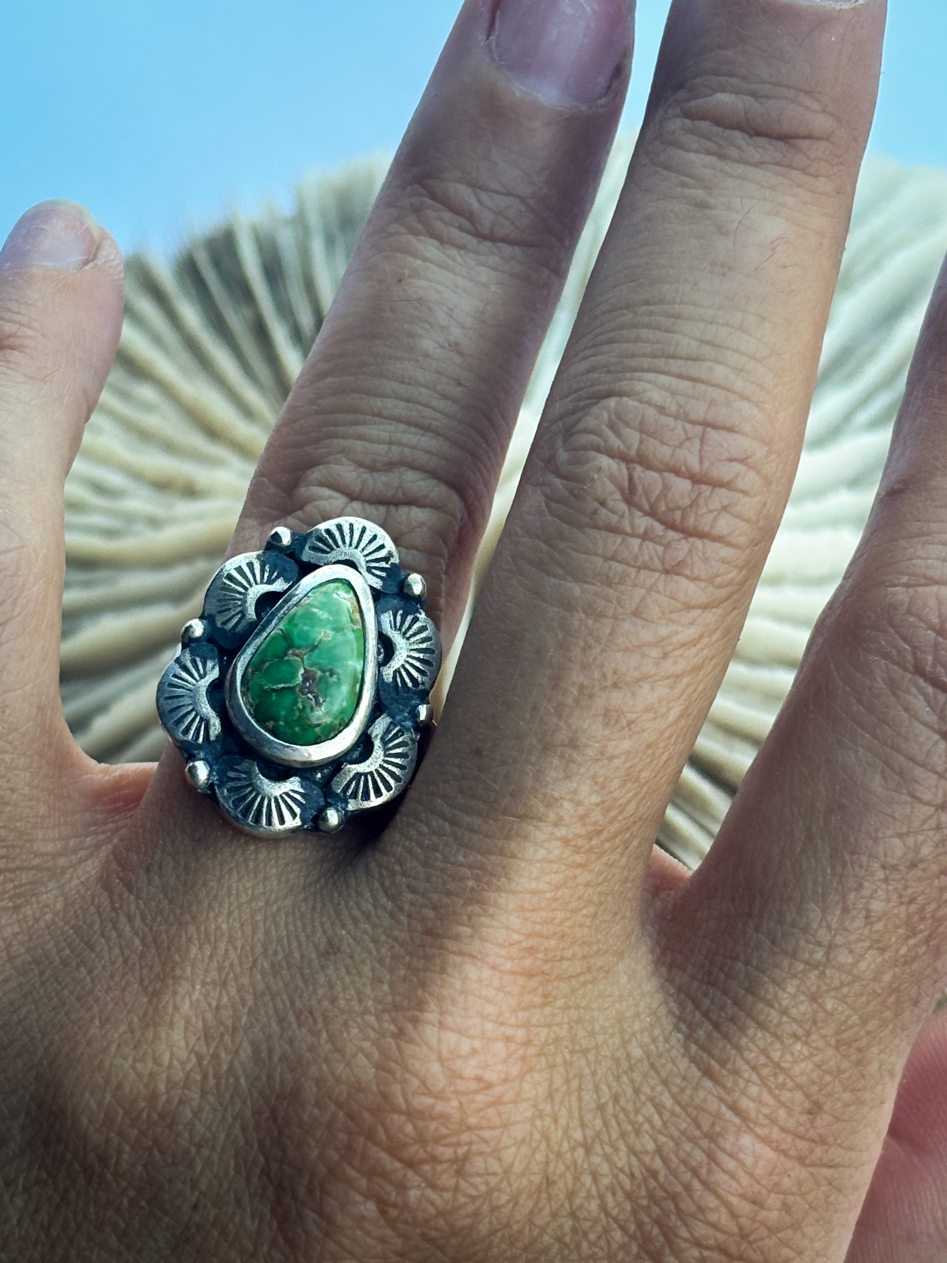 Radiant Ring | Sonoran Gold Turquoise & Sterling Silver | Size 6