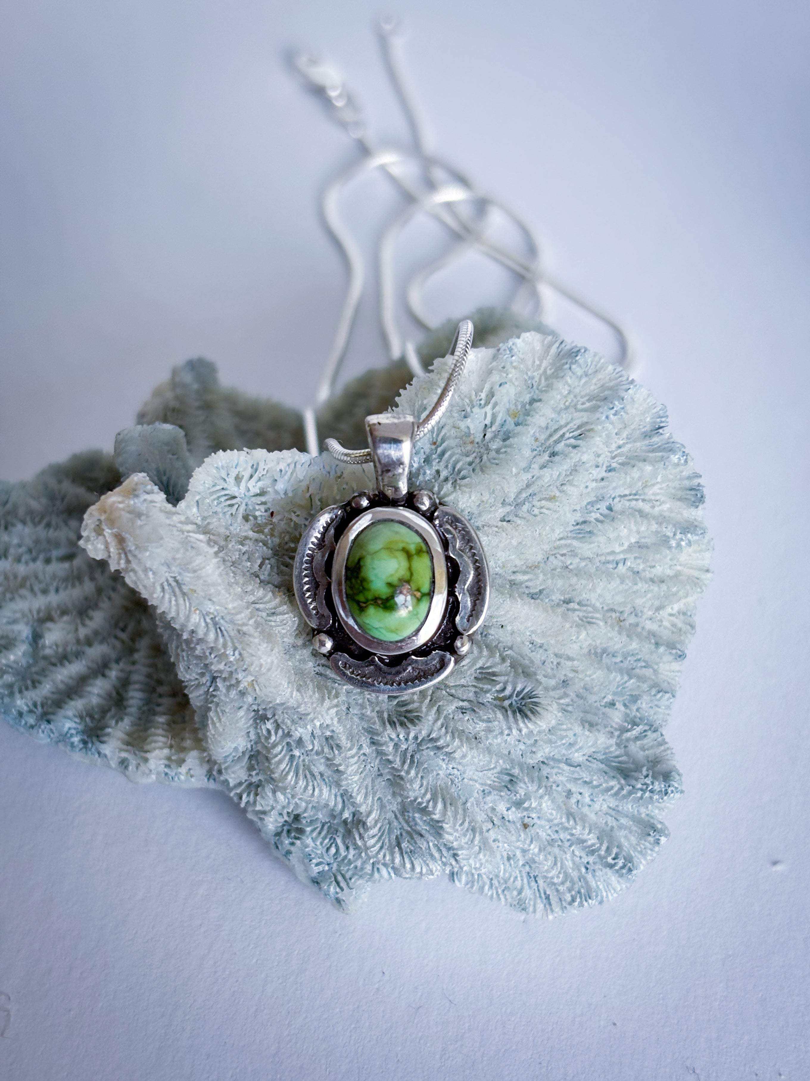 Encompass Necklace | Sonoran Mountain Turquoise & Sterling Silver