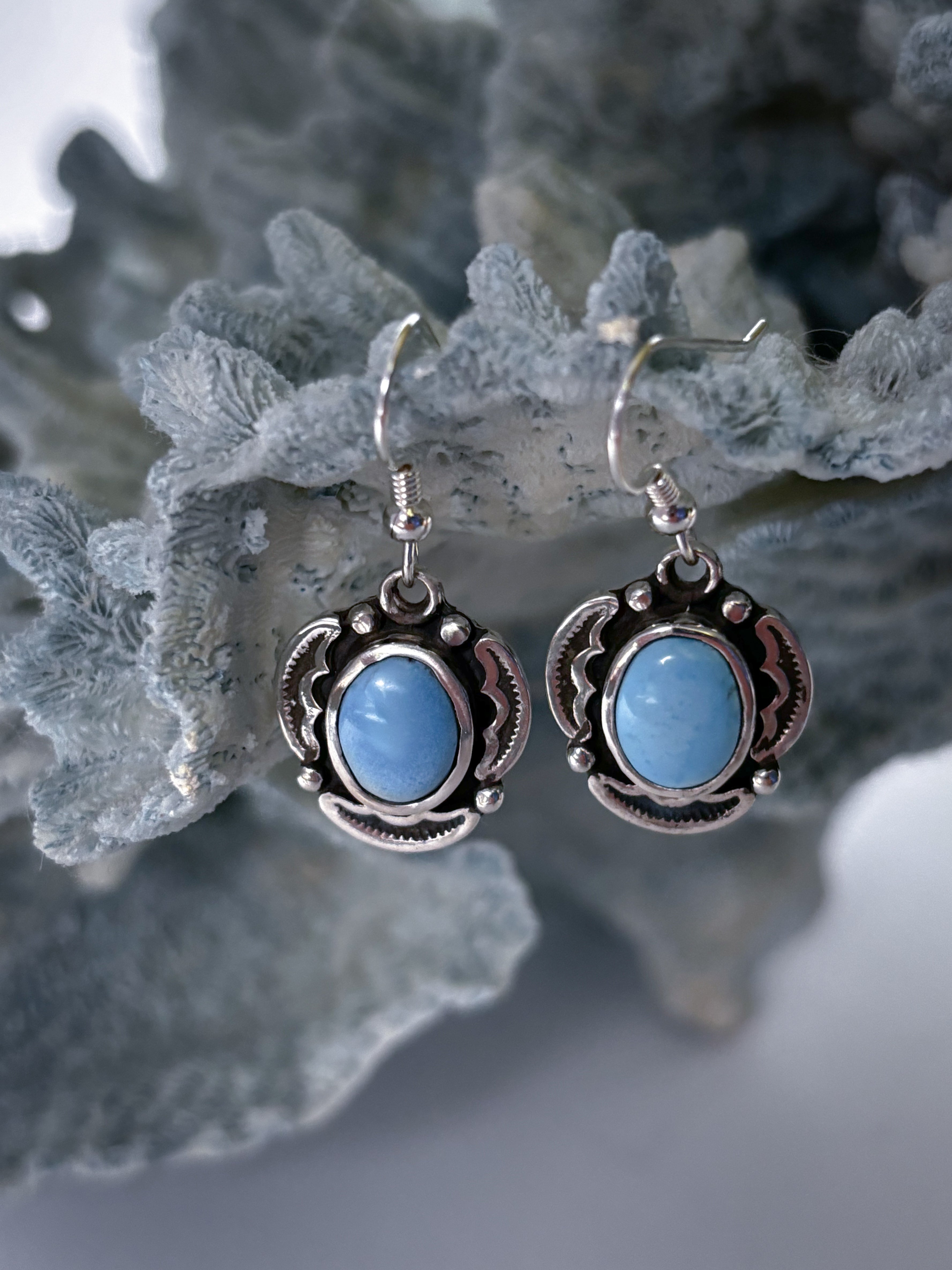 Encompass Earrings