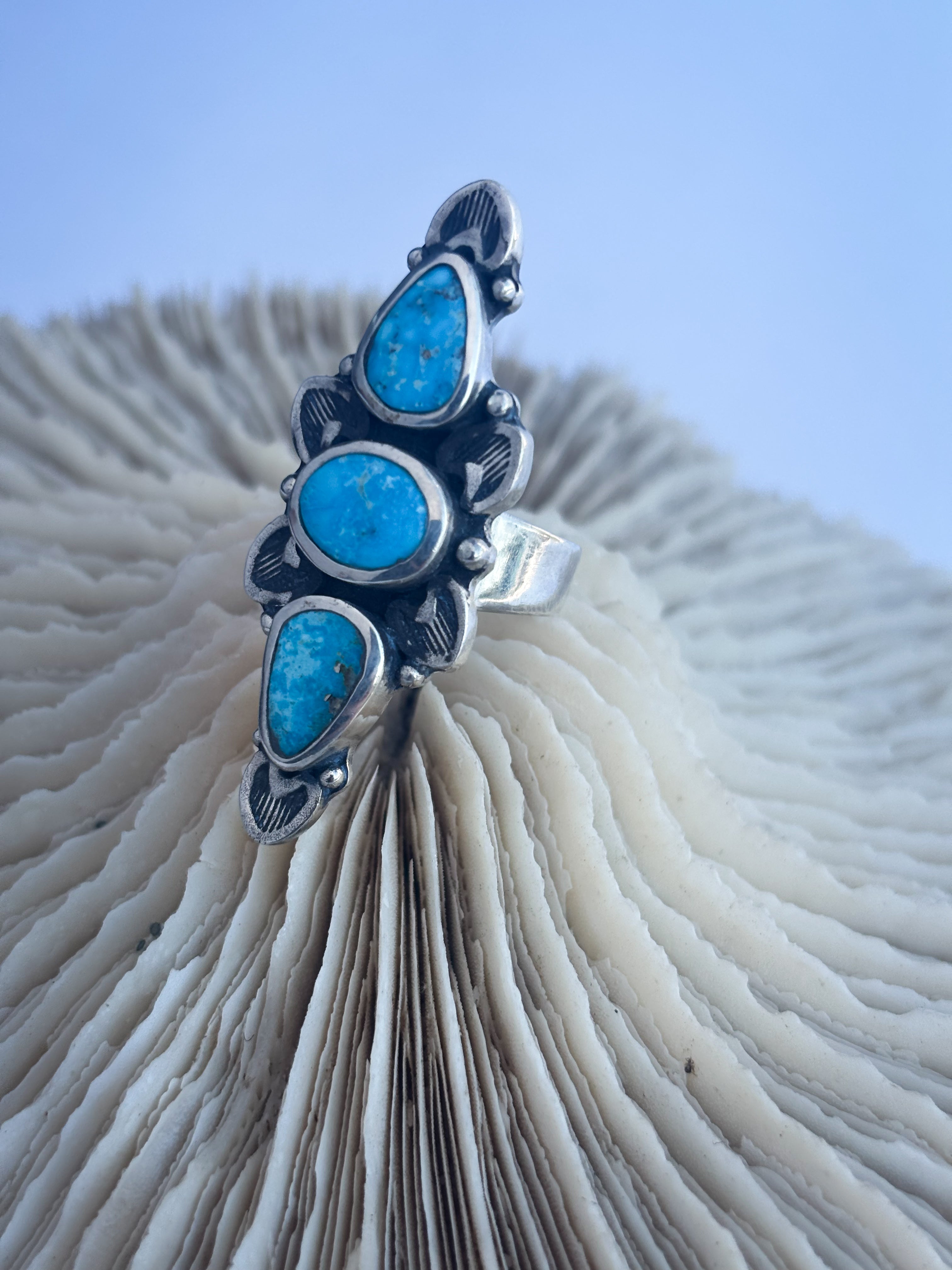 Full Bloom Ring | Bluebird Turquoise & Sterling Silver | Size 9