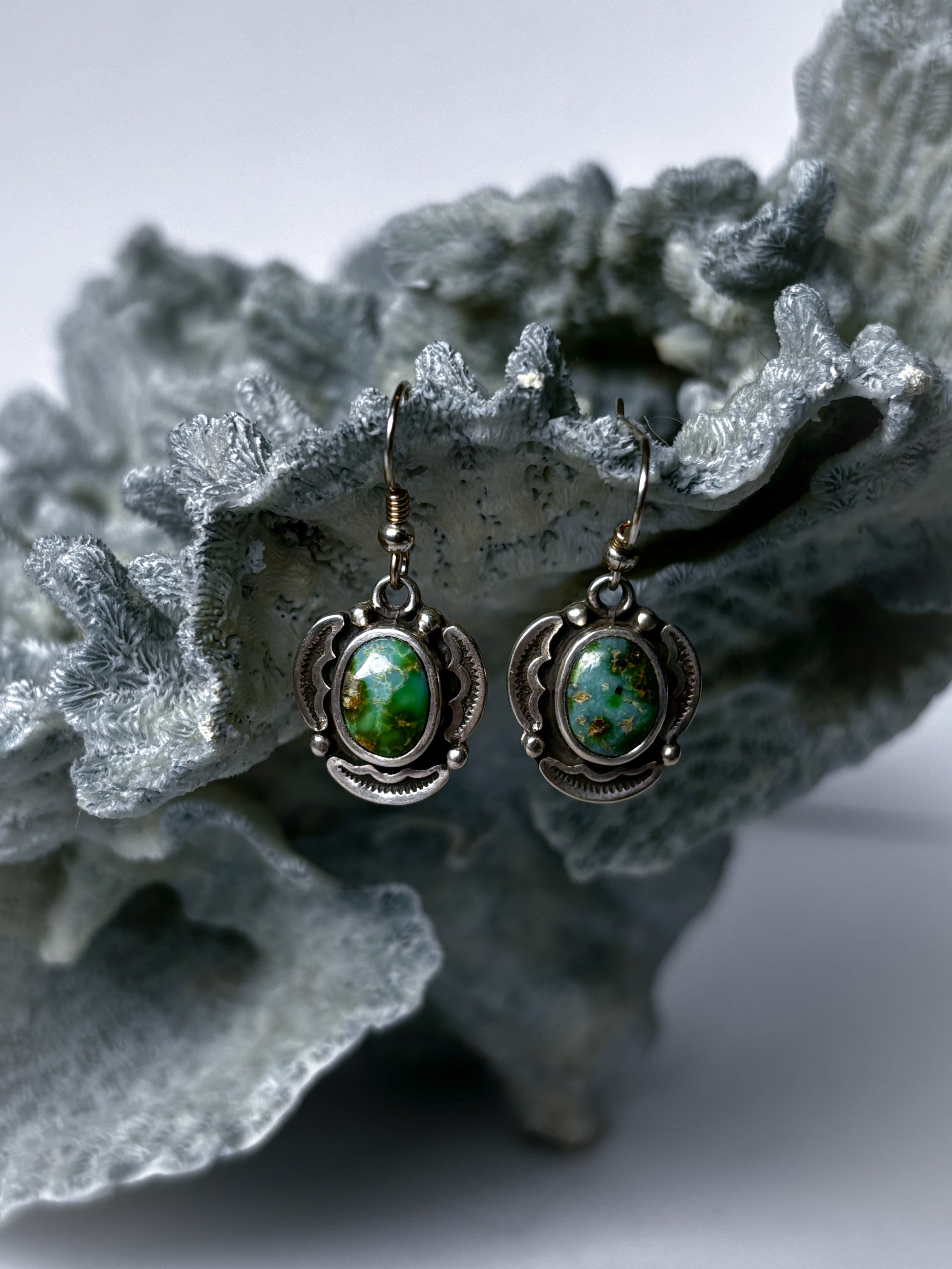 Encompass Earrings