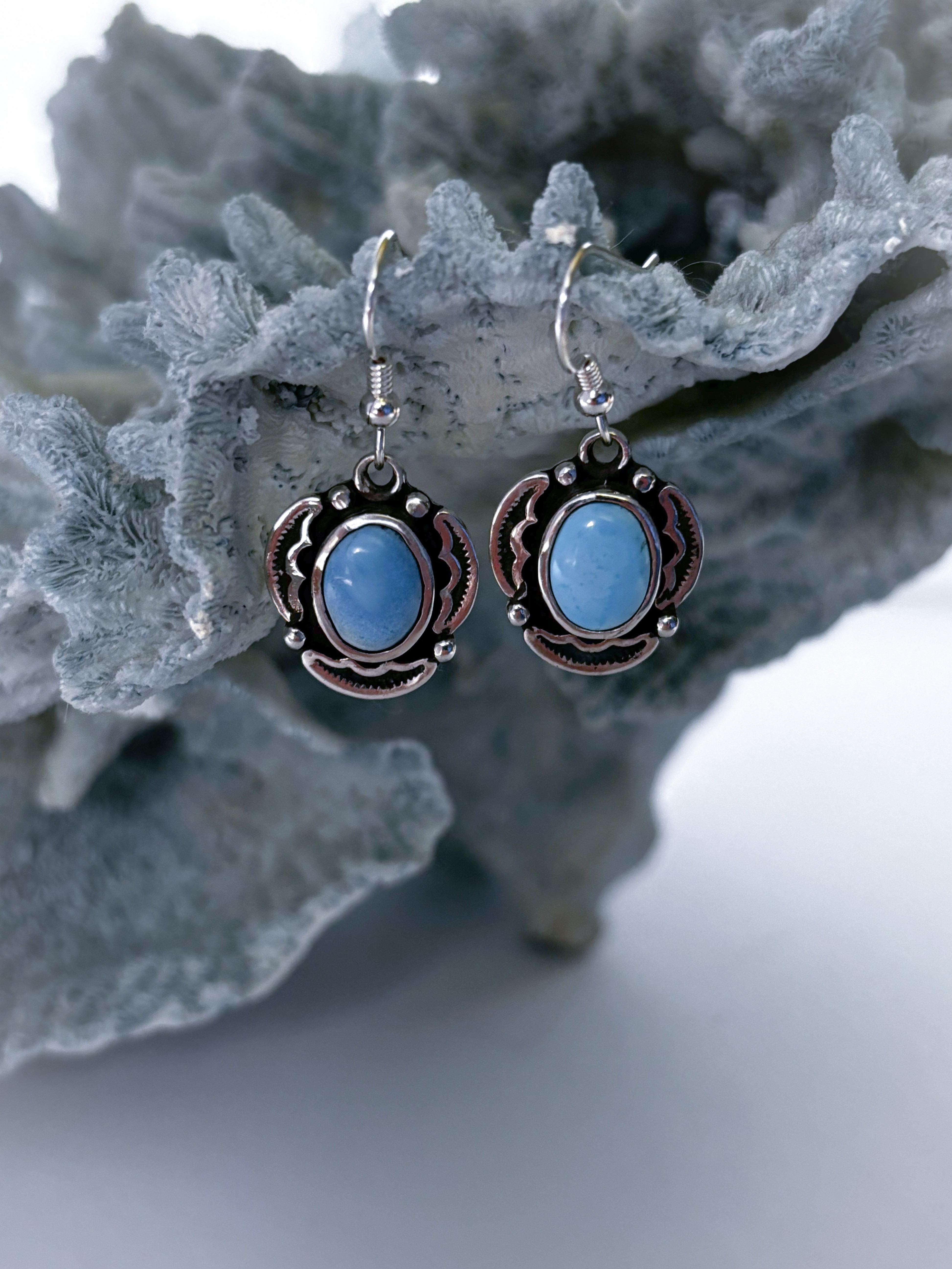 Encompass Earrings