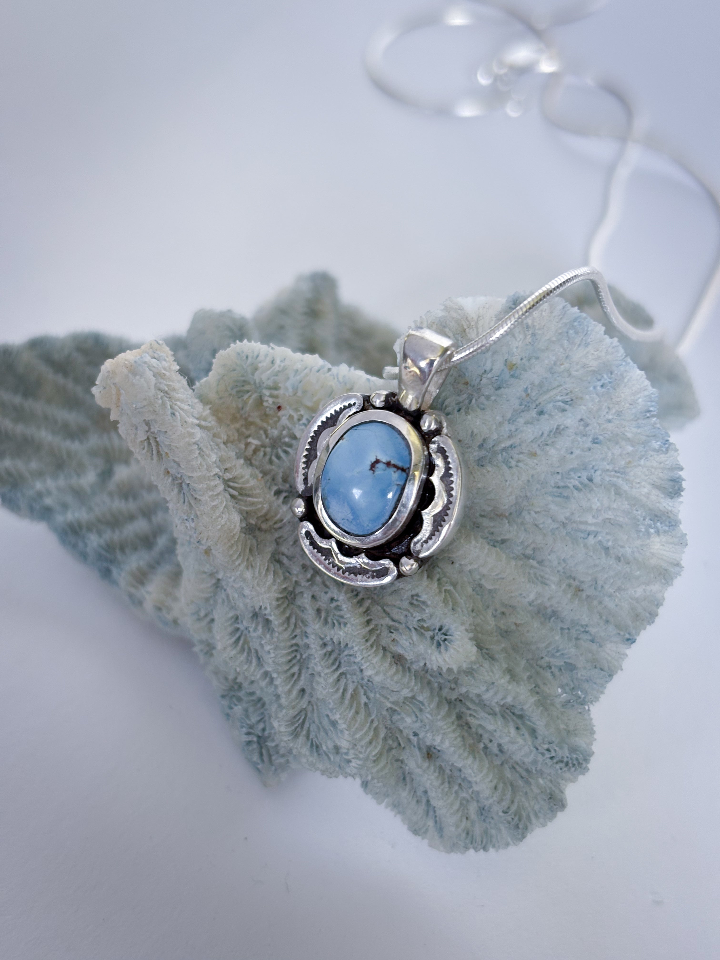 Encompass Necklace | Golden Hills Turquoise & Sterling Silver