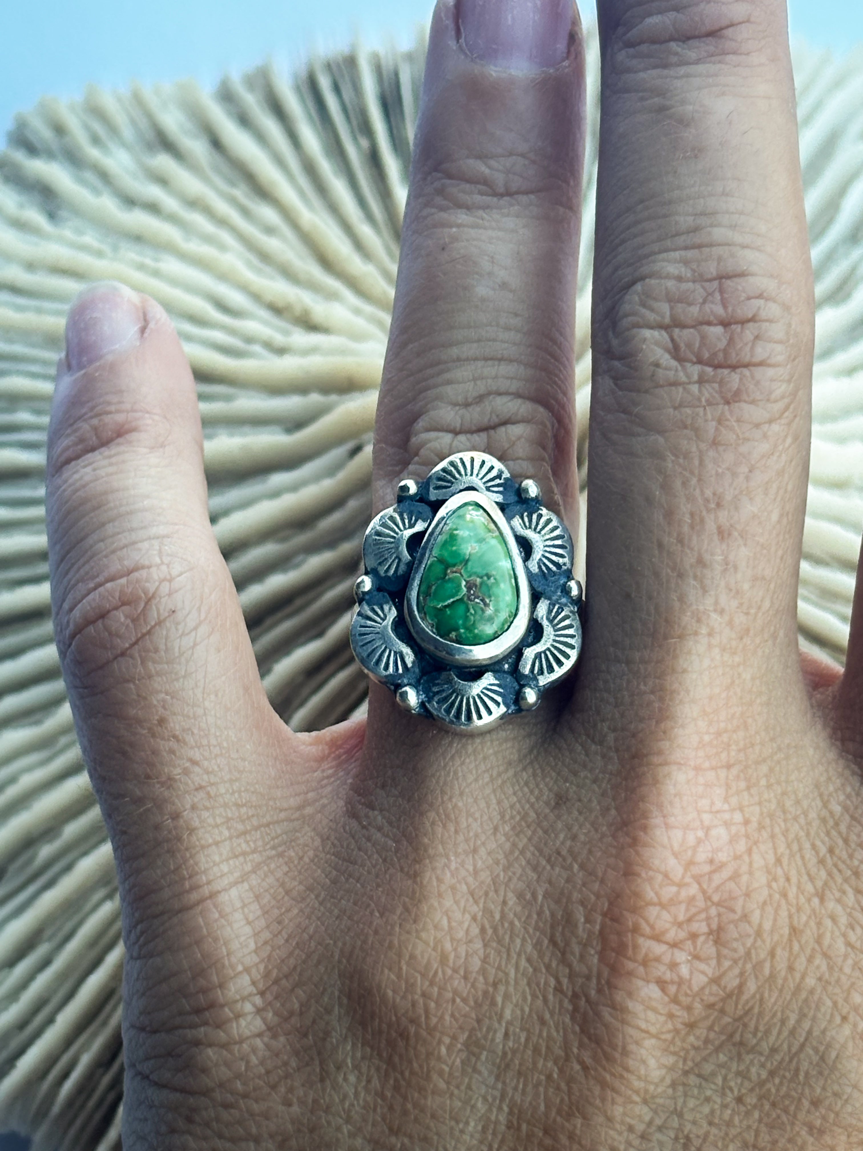 Radiant Ring | Sonoran Gold Turquoise & Sterling Silver | Size 6