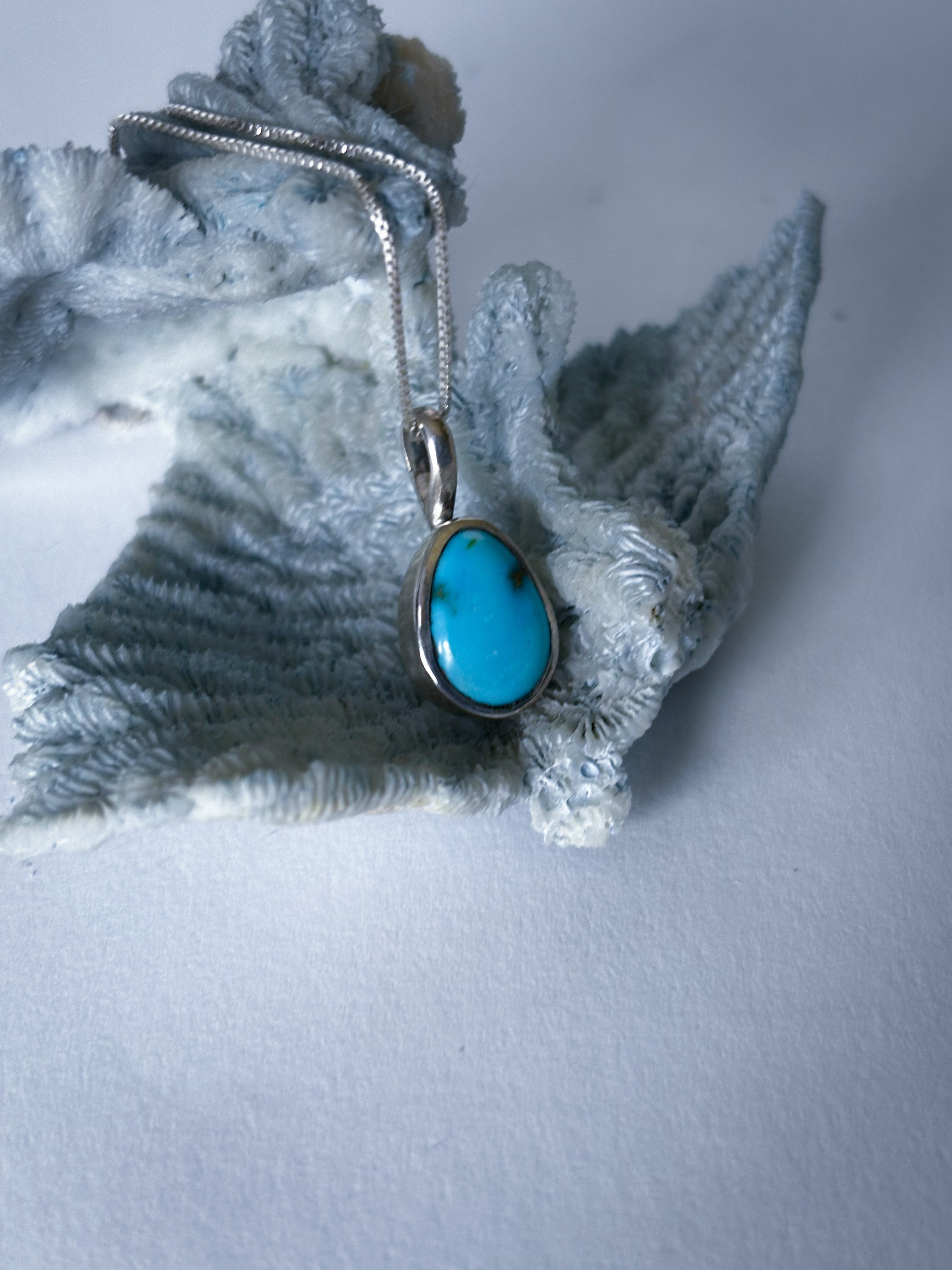 Blue Ridge Turquoise Charm Necklace