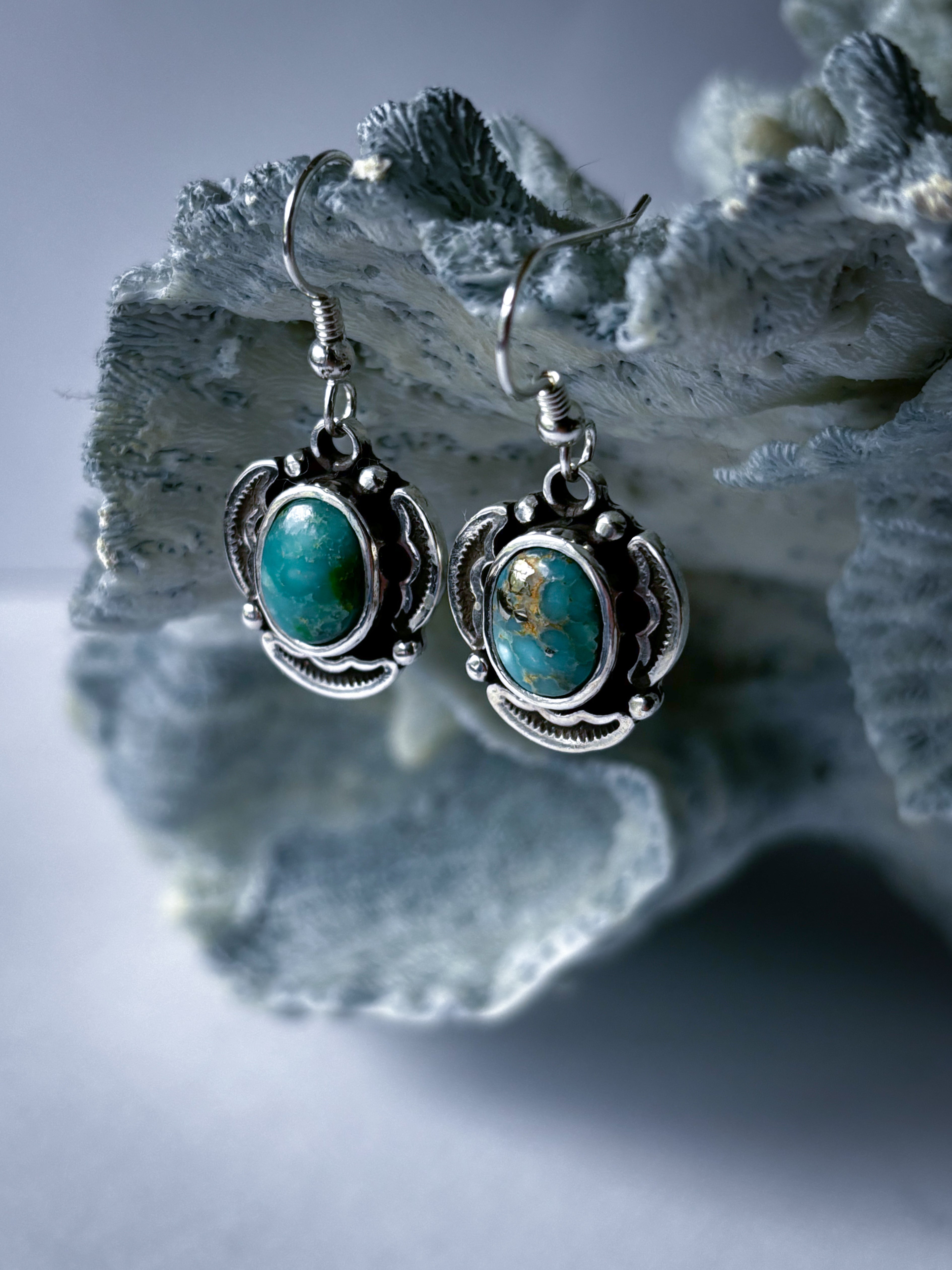 Encompass Earrings