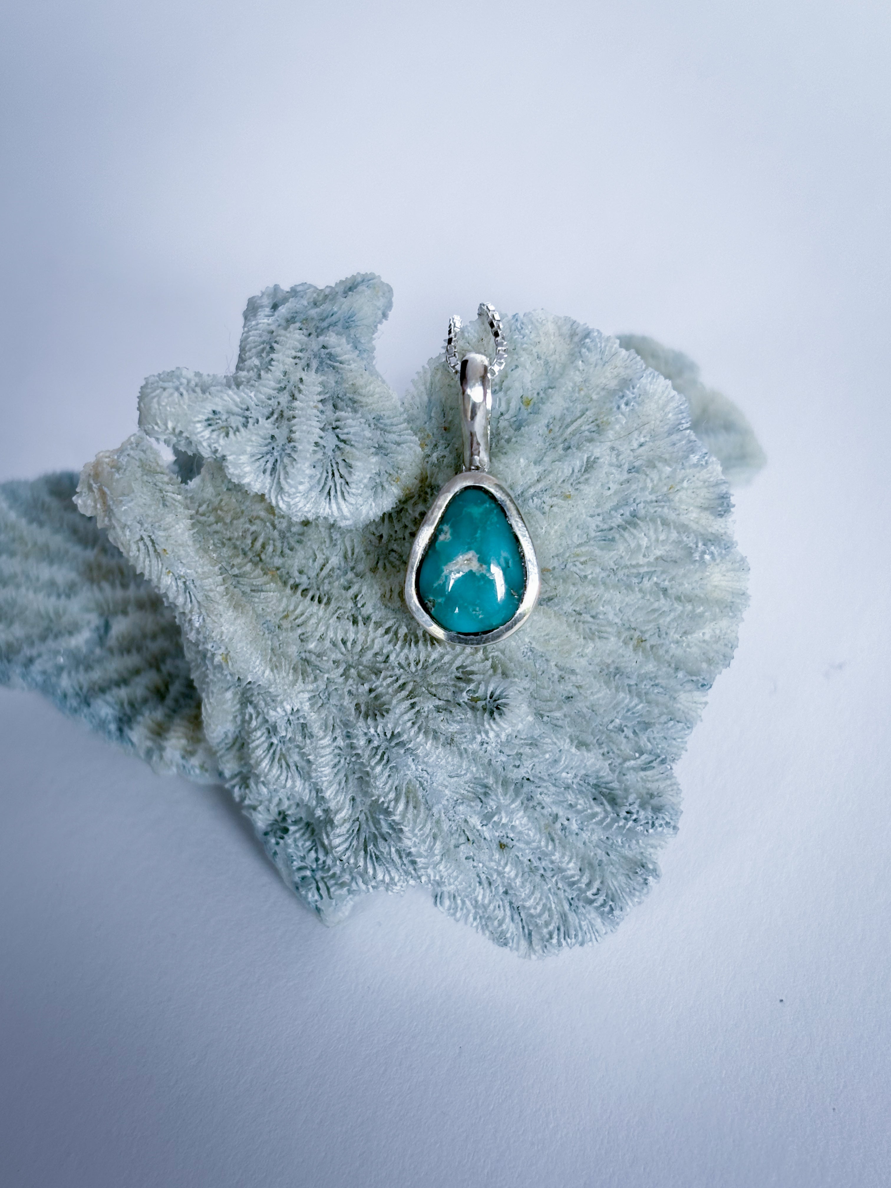 Whitewater Turquoise Charm Necklace