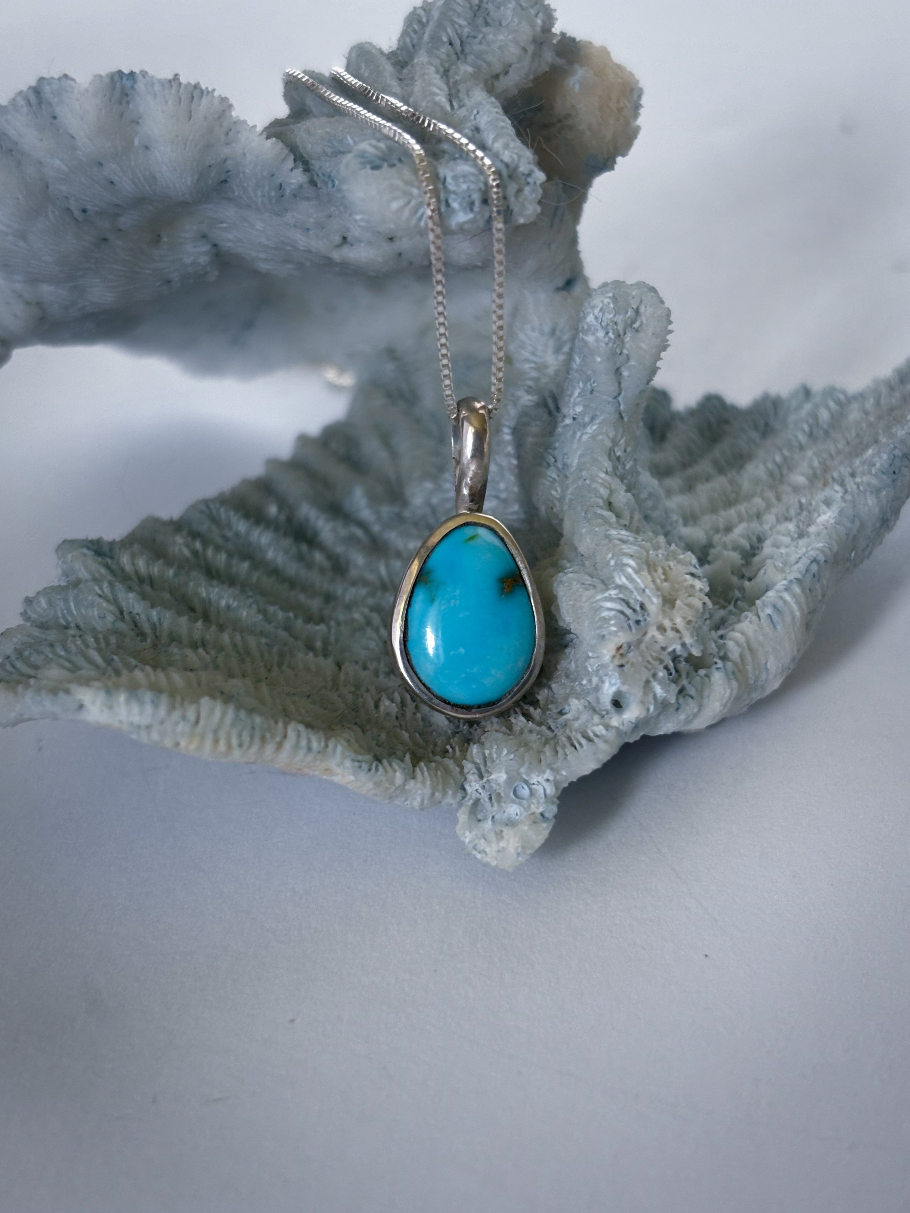 Blue Ridge Turquoise Charm Necklace