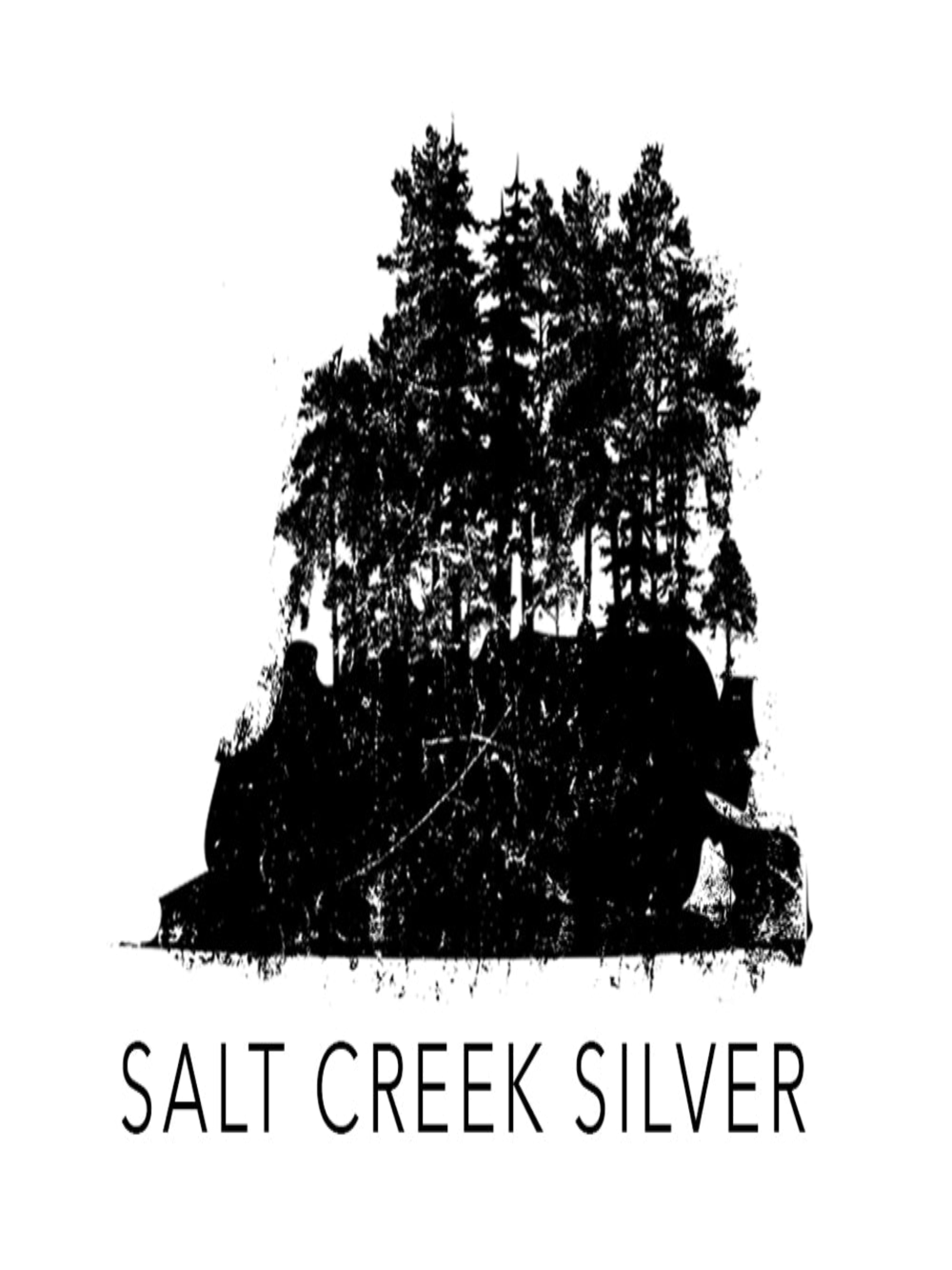 Salt Creek Silver Gift Card